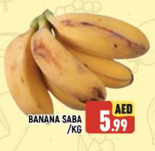 موز available at المدينة in الإمارات العربية المتحدة , الامارات - الشارقة / عجمان
