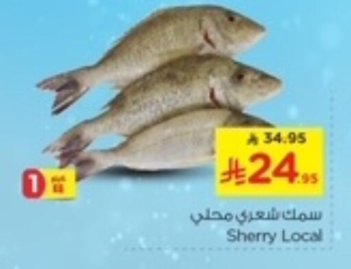 available at Nesto in KSA, Saudi Arabia, Saudi - Dammam