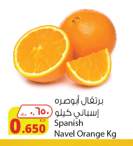 Orange from Spain available at Agricultural Food Products Co. in Kuwait - Jahra Governorate