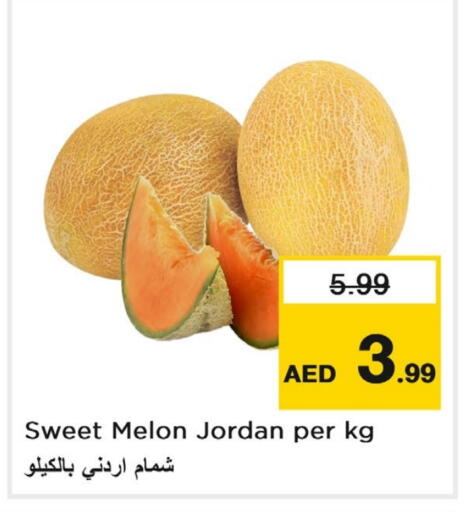 شمام from Jordan available at لاست تشانس in الإمارات العربية المتحدة , الامارات - ٱلْفُجَيْرَة‎