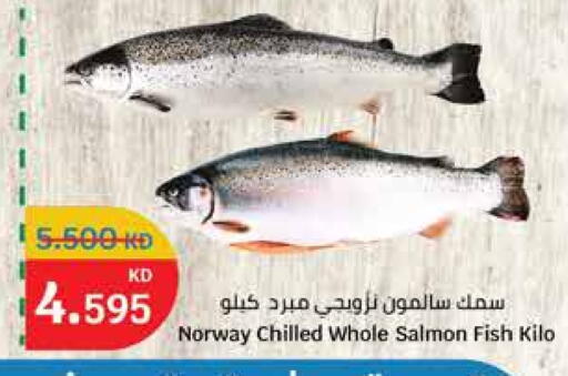 available at City Hypermarket in Kuwait - Ahmadi Governorate