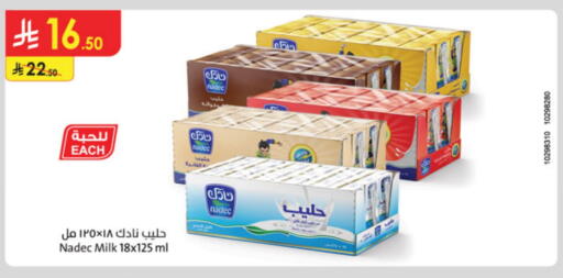 NADEC available at Danube in KSA, Saudi Arabia, Saudi - Dammam