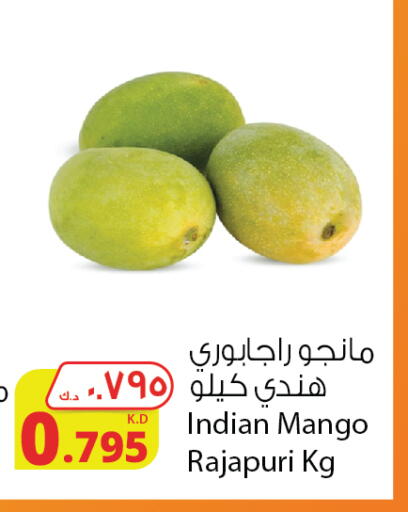 Mango Mangoes from India available at Agricultural Food Products Co. in Kuwait - Kuwait City