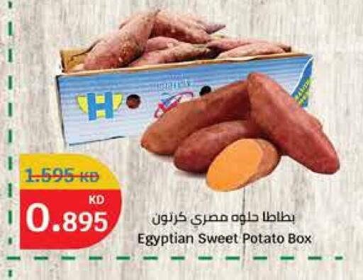 Sweet Potato from Egypt available at City Hypermarket in Kuwait - Jahra Governorate