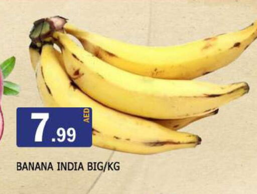 موز from India available at المدينة in الإمارات العربية المتحدة , الامارات - الشارقة / عجمان