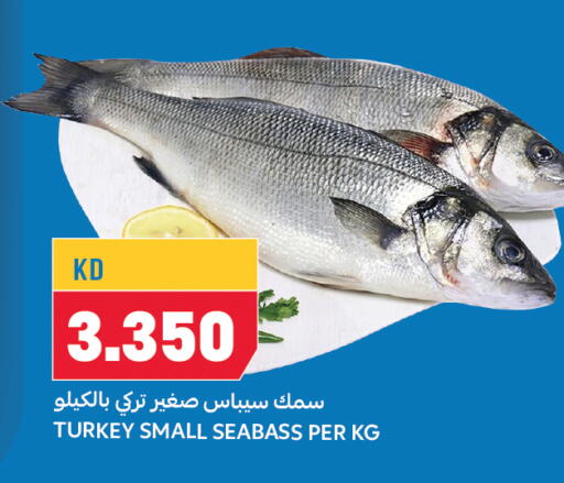 available at Oncost in Kuwait - Ahmadi Governorate