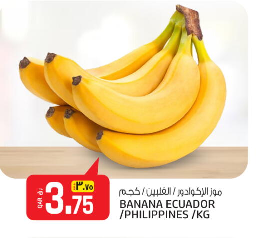 Banana from Ecuador Philippines available at Saudia Hypermarket in Qatar - Al Wakra
