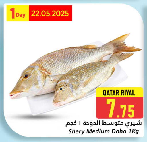 الأسماك الطازجة in دانة هايبرماركت, قطر Offers - قطر available at دانة هايبرماركت in قطر - الريان