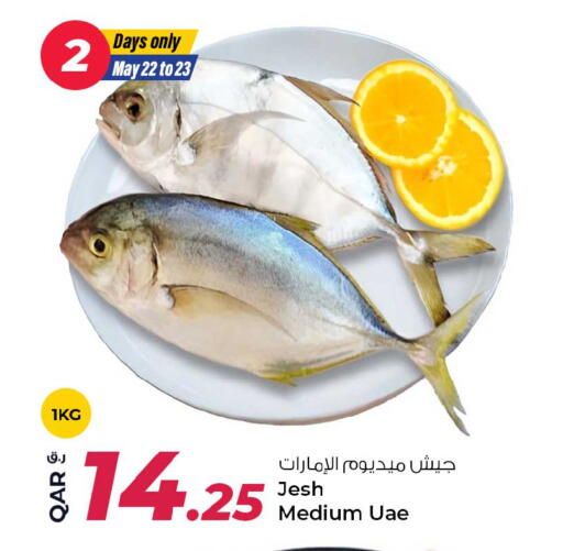 الأسماك الطازجة in روابي هايبرماركت, قطر Offers - قطر available at روابي هايبرماركت in قطر - الشمال