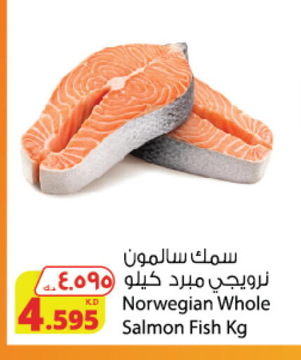 available at Agricultural Food Products Co. in Kuwait - Ahmadi Governorate