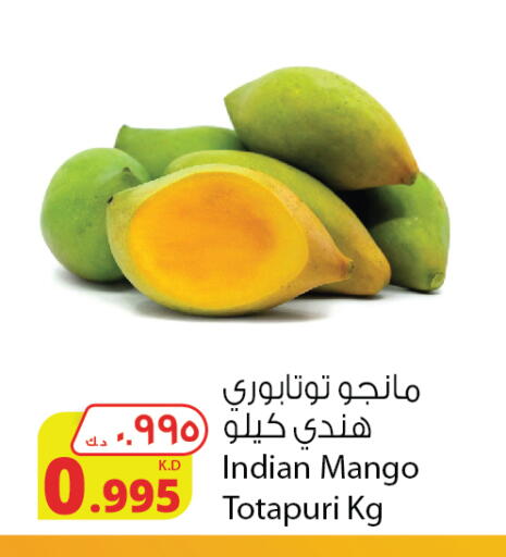 Mango Mangoes from India available at Agricultural Food Products Co. in Kuwait - Kuwait City
