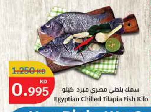 available at City Hypermarket in Kuwait - Ahmadi Governorate