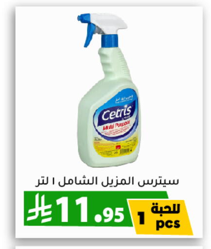 تنظيف in تخفيضات العائلة, المملكة العربية السعودية Offers - المملكة العربية السعودية available at تخفيضات العائلة in مملكة العربية السعودية, السعودية, سعودية - الرياض