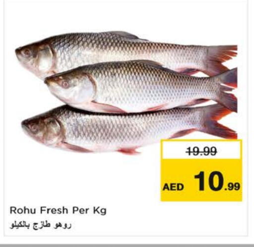 available at Nesto Hypermarket in UAE - Dubai