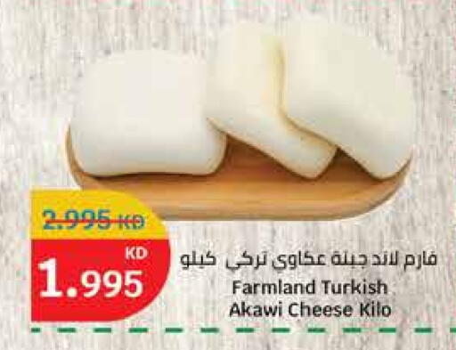 جبنة و كريم in سيتي هايبرماركت, الكويت Offers - الكويت available at سيتي هايبرماركت in الكويت - محافظة الأحمدي
