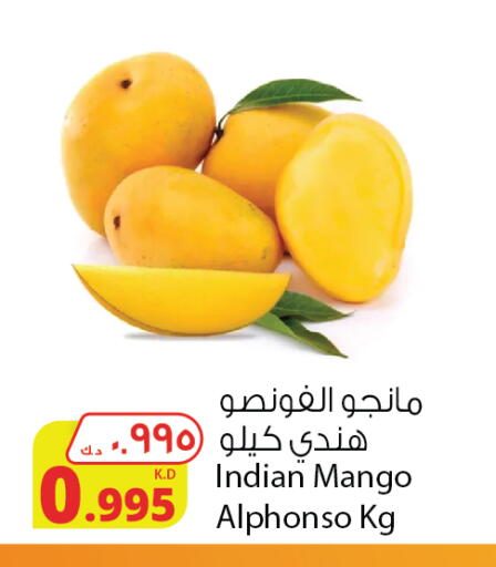 Mango Mangoes from India available at Agricultural Food Products Co. in Kuwait - Kuwait City