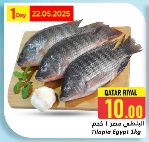 الأسماك الطازجة in دانة هايبرماركت, قطر Offers - قطر available at دانة هايبرماركت in قطر - الريان