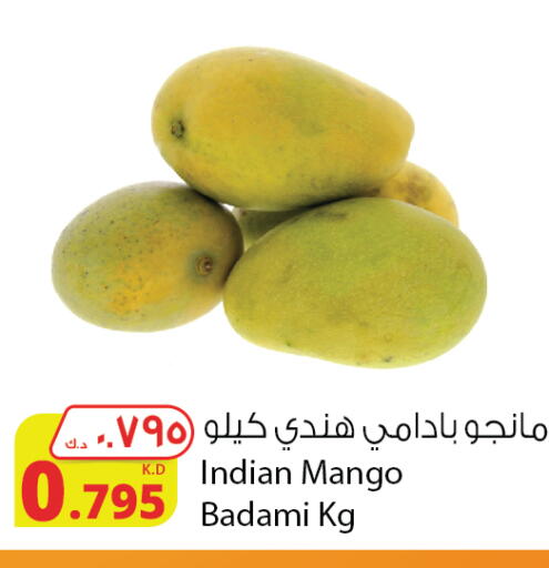 Mango Mangoes from India available at Agricultural Food Products Co. in Kuwait - Kuwait City