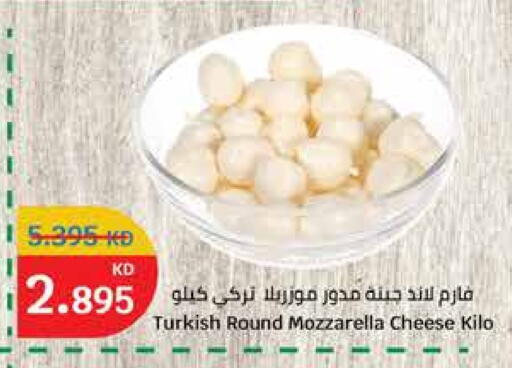 جبنة و كريم in سيتي هايبرماركت, الكويت Offers - الكويت موزاريلا available at سيتي هايبرماركت in الكويت - محافظة الأحمدي
