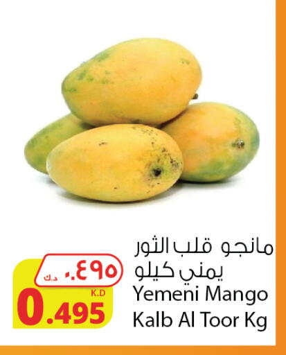 Mango Mangoes from Yemen available at Agricultural Food Products Co. in Kuwait - Kuwait City