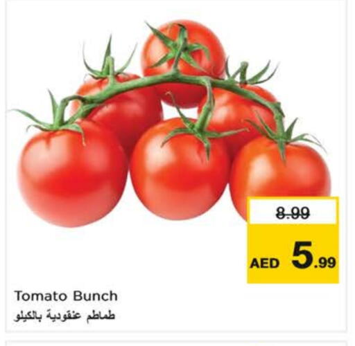 Tomato available at Nesto Hypermarket in UAE - Dubai