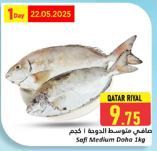 الأسماك الطازجة in دانة هايبرماركت, قطر Offers - قطر available at دانة هايبرماركت in قطر - الريان