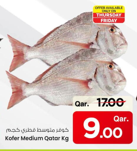 الأسماك الطازجة in مارك & سيف, قطر Offers - قطر available at مارك & سيف in قطر - الشمال