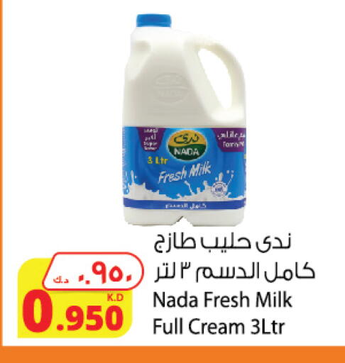 NADA Full Cream Milk available at Agricultural Food Products Co. in Kuwait - Jahra Governorate