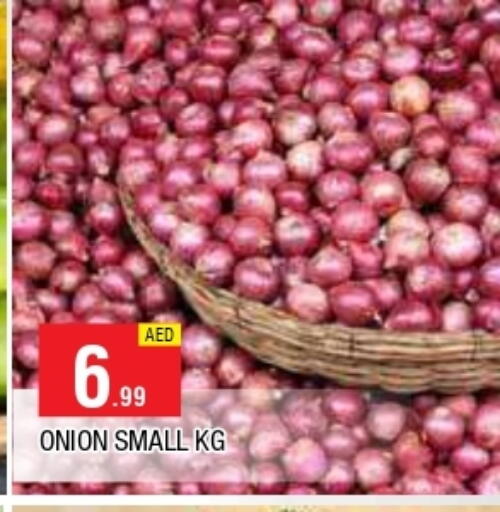 بصل available at المدينة in الإمارات العربية المتحدة , الامارات - الشارقة / عجمان