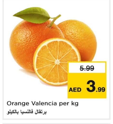 برتقال available at لاست تشانس in الإمارات العربية المتحدة , الامارات - ٱلْفُجَيْرَة‎