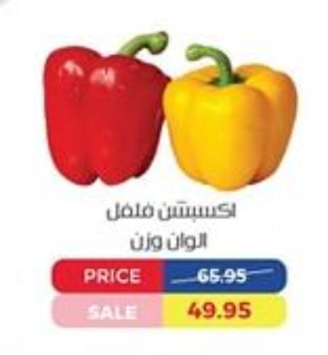 Fresh Vegetables in Exception Market, Egypt Offers - Egypt Chilli / Capsicum available at Exception Market in Egypt - Cairo