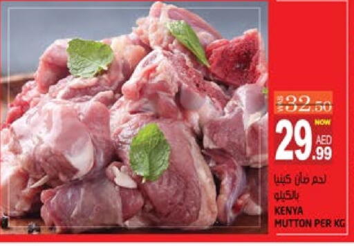 لحم الضأن / الغنم available at هاشم هايبرماركت in الإمارات العربية المتحدة , الامارات - الشارقة / عجمان