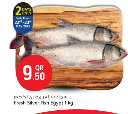الأسماك الطازجة in سفاري هايبر ماركت, قطر Offers - قطر available at سفاري هايبر ماركت in قطر - الشمال