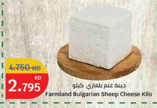 جبنة و كريم in سيتي هايبرماركت, الكويت Offers - الكويت available at سيتي هايبرماركت in الكويت - محافظة الأحمدي