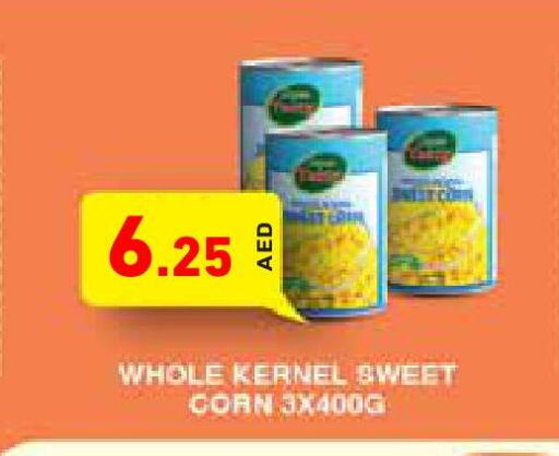 available at أسواق رامز in الإمارات العربية المتحدة , الامارات - دبي