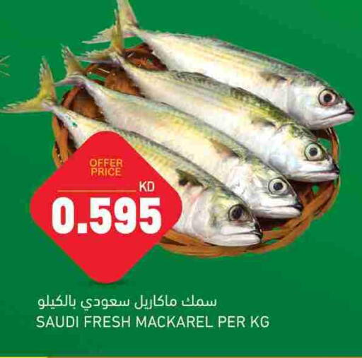 available at غلف مارت in الكويت - محافظة الجهراء