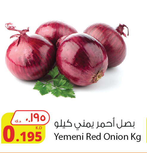 Onion from Yemen available at Agricultural Food Products Co. in Kuwait - Ahmadi Governorate