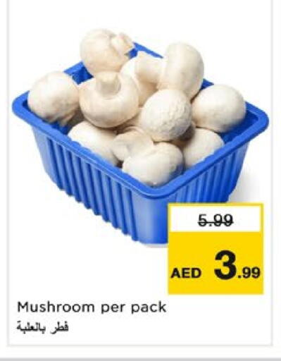 Mushroom available at Nesto Hypermarket in UAE - Dubai