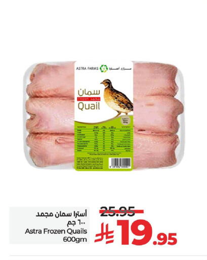 available at لولو هايبرماركت in مملكة العربية السعودية, السعودية, سعودية - حفر الباطن