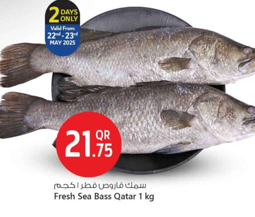 الأسماك الطازجة in سفاري هايبر ماركت, قطر Offers - قطر available at سفاري هايبر ماركت in قطر - الشمال