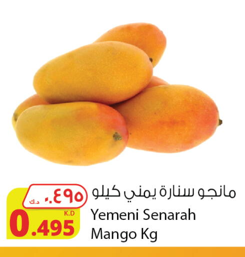 Mango Mangoes from Yemen available at Agricultural Food Products Co. in Kuwait - Kuwait City