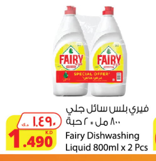 FAIRY available at Agricultural Food Products Co. in Kuwait - Ahmadi Governorate