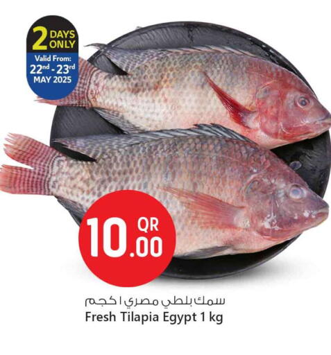 الأسماك الطازجة in سفاري هايبر ماركت, قطر Offers - قطر available at سفاري هايبر ماركت in قطر - الشمال