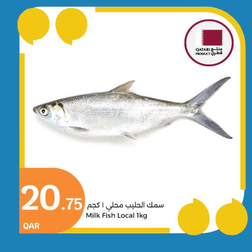 available at City Hypermarket in Qatar - Doha