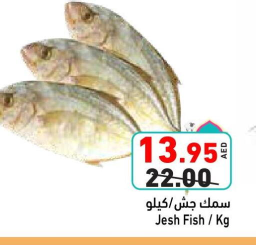available at Aswaq Ramez in UAE - Abu Dhabi