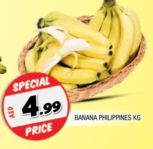 موز from Philippines available at المدينة in الإمارات العربية المتحدة , الامارات - الشارقة / عجمان