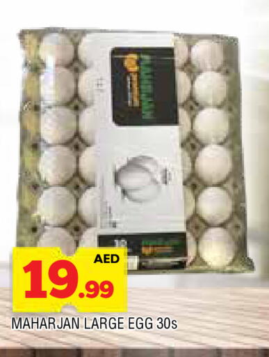 available at AL MADINA in UAE - Sharjah / Ajman