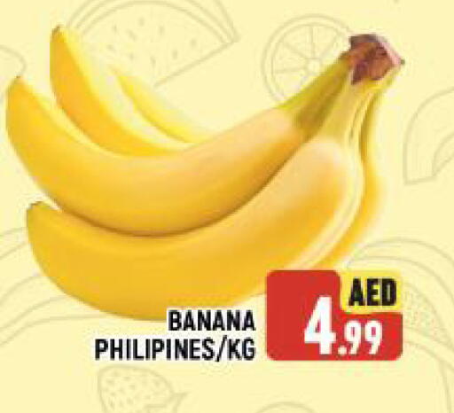 موز available at المدينة in الإمارات العربية المتحدة , الامارات - الشارقة / عجمان