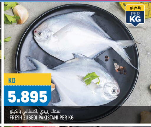 available at Oncost in Kuwait - Ahmadi Governorate
