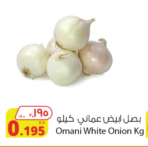 White Onion from Oman available at Agricultural Food Products Co. in Kuwait - Ahmadi Governorate